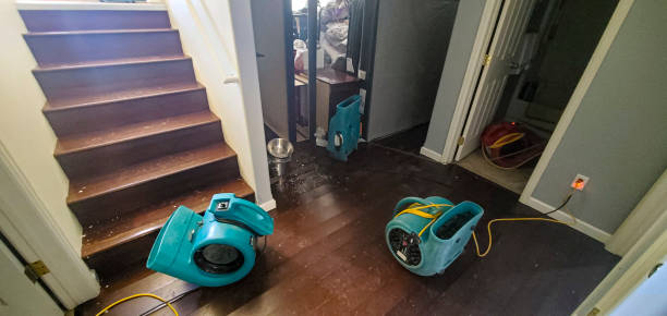 Water damage restoration experts in Derwood, MD