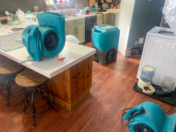 Best Residential water damage restoration  in Derwood, MD