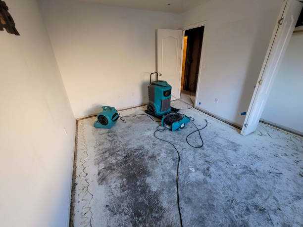 Best Basement water damage restoration  in Derwood, MD
