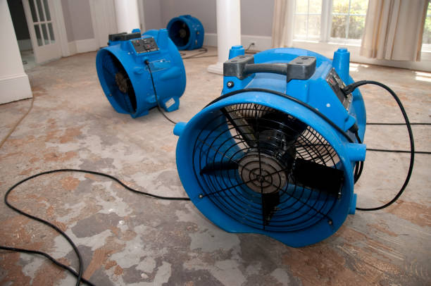 Best Flood damage cleanup  in Derwood, MD