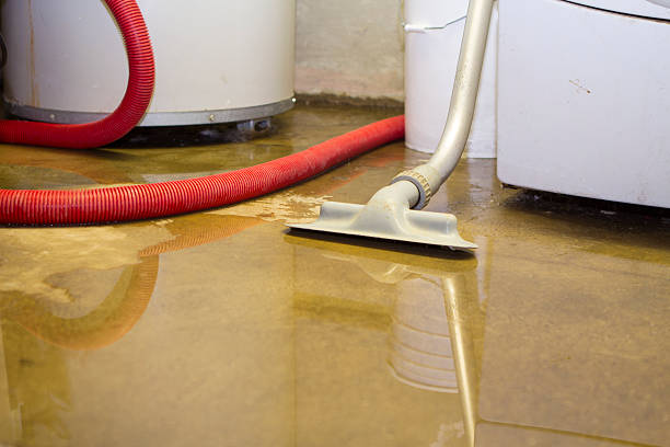 Best Local water damage restoration  in Derwood, MD