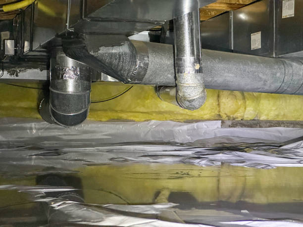 Best Water damage contractors near me  in Derwood, MD