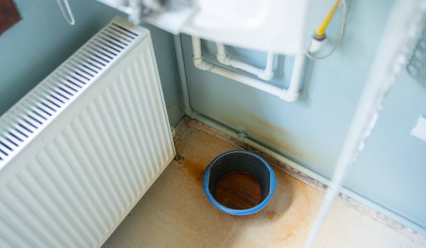 Best Professional water damage repair  in Derwood, MD