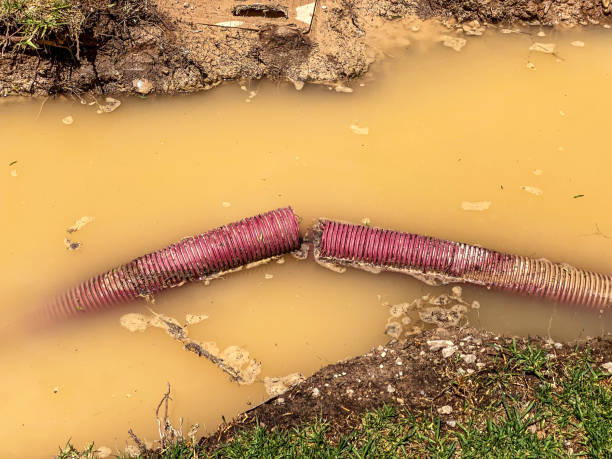 Best Water damage restoration near me  in Derwood, MD