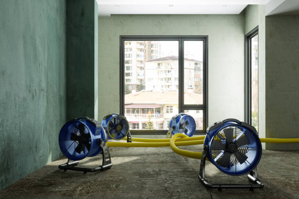 Best Carpet water damage restoration  in Derwood, MD