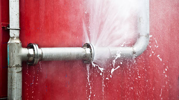 Best Sewage cleanup and water damage restoration  in Derwood, MD