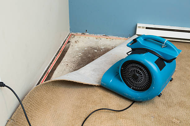 Trusted Derwood, MD Water damage restoration Experts
